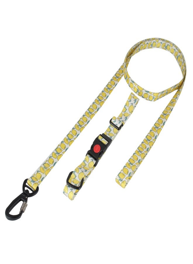 BLACK DOG Premium Adjustable Lock System, Collar & Leash Set for Puppies, Suitable for 1-10kg Puppies and Small Dogs (Size - Small -15mm) - Image 1